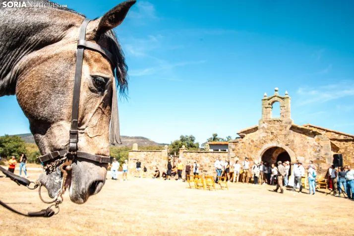 II Romería de El Valle 2026./ Viksar Fotografía
