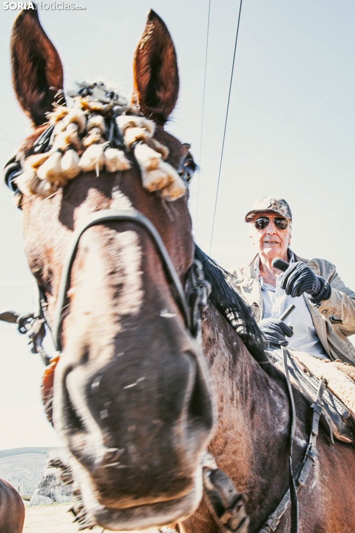 II Romería de El Valle 2026./ Viksar Fotografía