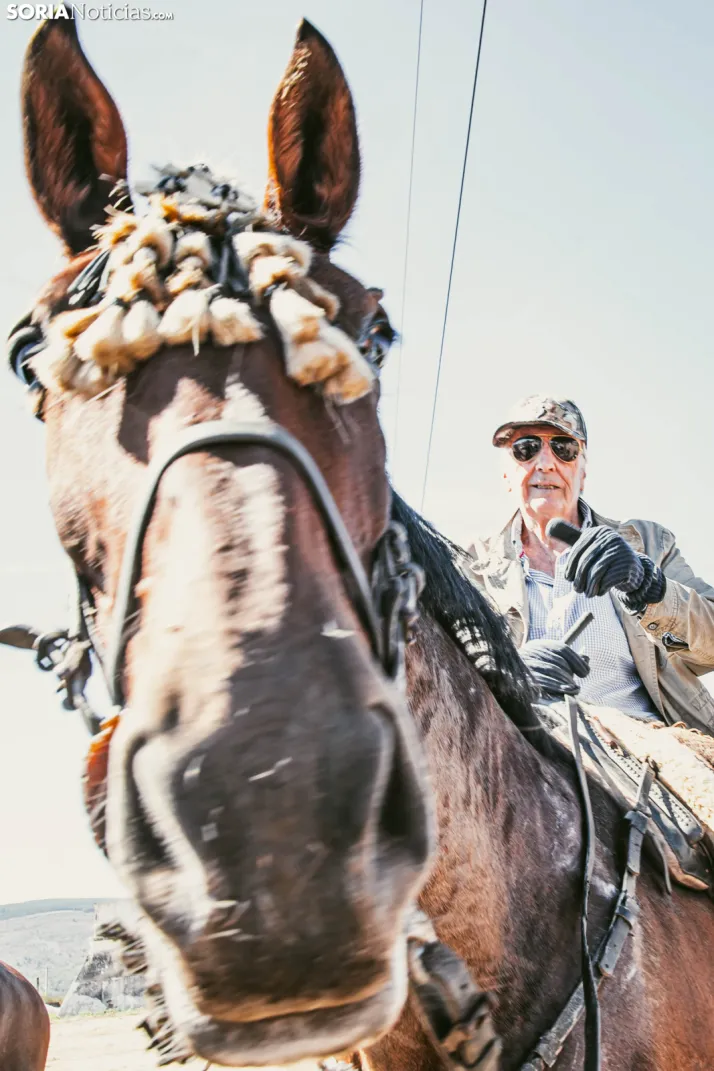 II Romería de El Valle 2026./ Viksar Fotografía