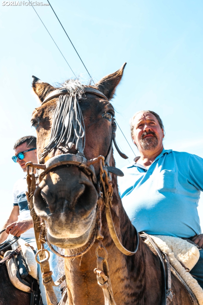 II Romería de El Valle 2026./ Viksar Fotografía