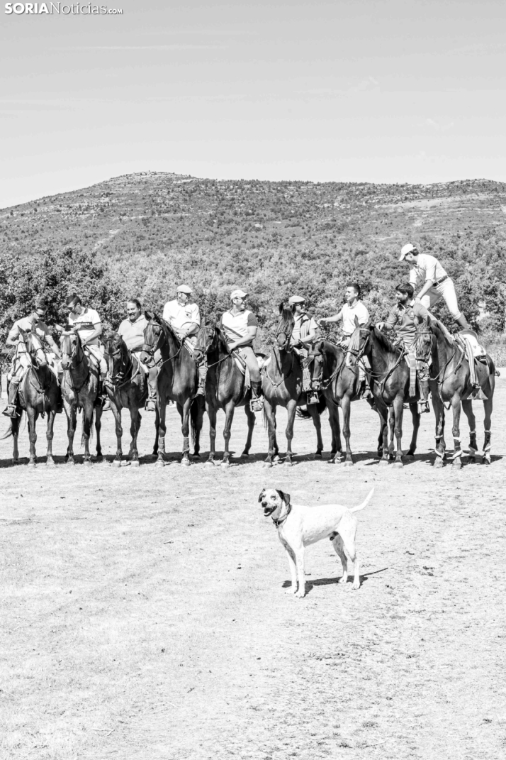 II Romería de El Valle 2026./ Viksar Fotografía