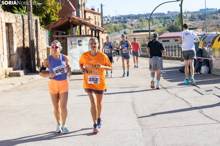 XVI Carrera Popular de Golmayo./ Viksar Fotografía