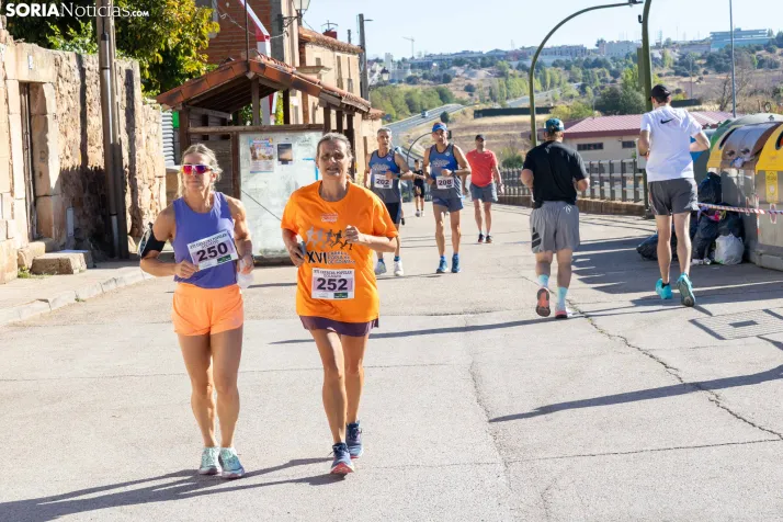 XVI Carrera Popular de Golmayo./ Viksar Fotografía