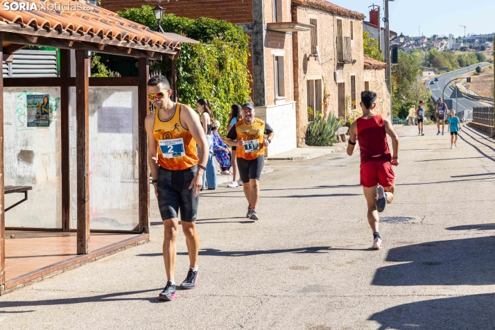 XVI Carrera Popular de Golmayo./ Viksar Fotografía