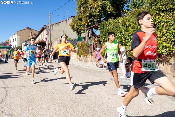 XVI Carrera Popular de Golmayo./ Viksar Fotografía