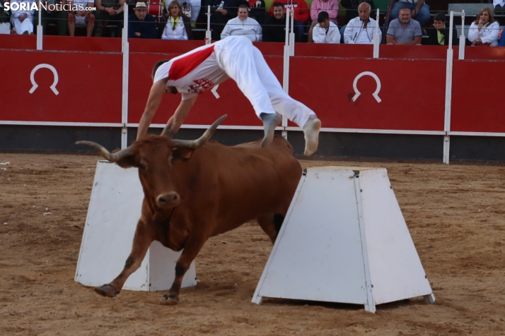 Una imagen de la tarde en la plaza de toros olvegueña. /Santos Gómez