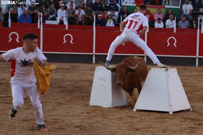 Una imagen de la tarde en la plaza de toros olvegueña. /Santos Gómez