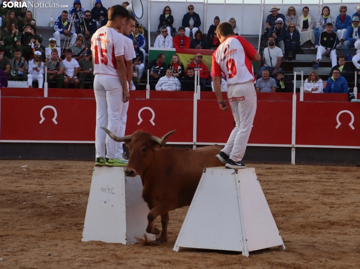 Una imagen de la tarde en la plaza de toros olvegueña. /Santos Gómez