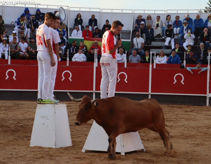 Una imagen de la tarde en la plaza de toros olvegueña. /Santos Gómez