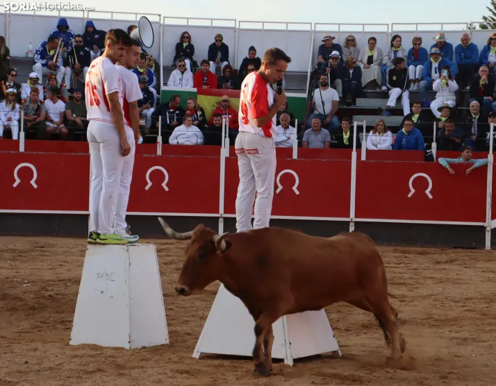 Una imagen de la tarde en la plaza de toros olvegueña. /Santos Gómez