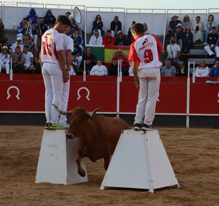 Una imagen de la tarde en la plaza de toros olvegueña. /Santos Gómez
