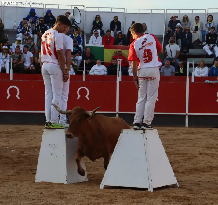 Una imagen de la tarde en la plaza de toros olvegueña. /Santos Gómez