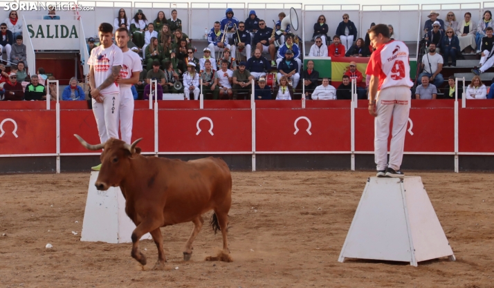 Una imagen de la tarde en la plaza de toros olvegueña. /Santos Gómez