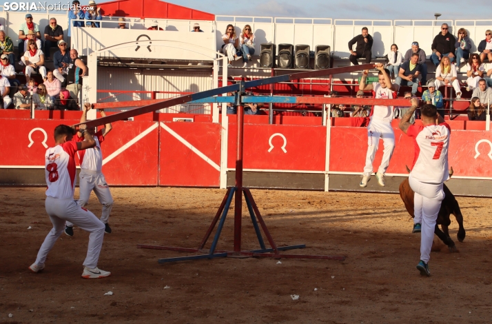 Una imagen de la tarde en la plaza de toros olvegueña. /Santos Gómez