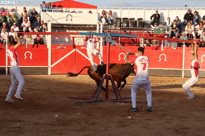 Una imagen de la tarde en la plaza de toros olvegueña. /Santos Gómez