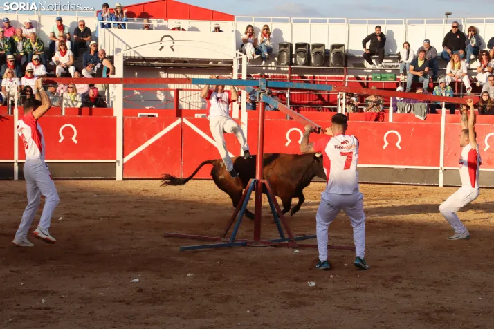 Una imagen de la tarde en la plaza de toros olvegueña. /Santos Gómez
