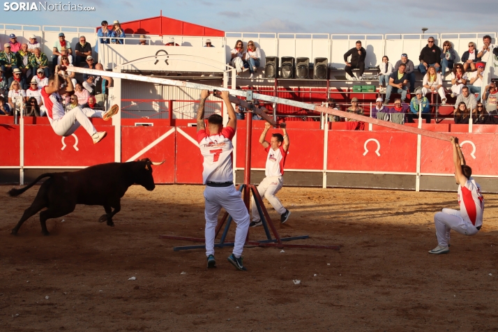 Una imagen de la tarde en la plaza de toros olvegueña. /Santos Gómez