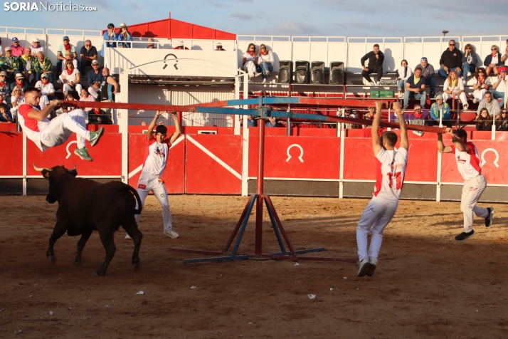 Una imagen de la tarde en la plaza de toros olvegueña. /Santos Gómez