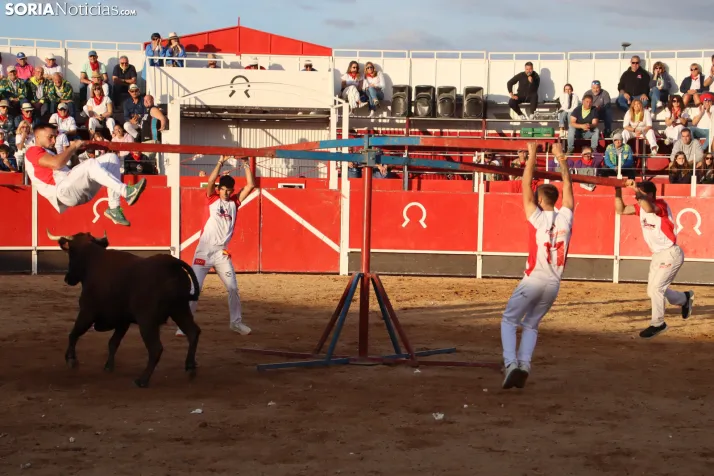 Una imagen de la tarde en la plaza de toros olvegueña. /Santos Gómez
