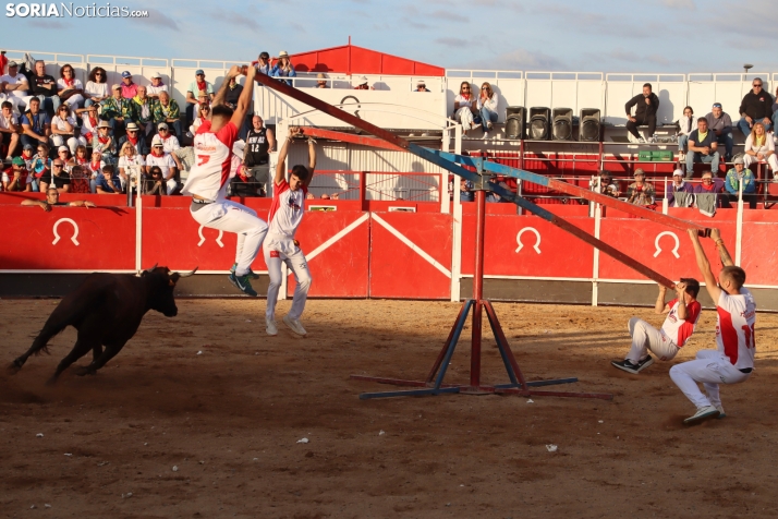 Una imagen de la tarde en la plaza de toros olvegueña. /Santos Gómez