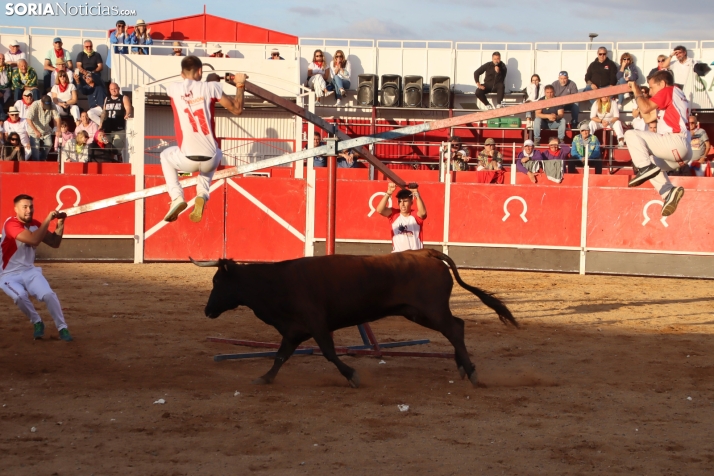 Una imagen de la tarde en la plaza de toros olvegueña. /Santos Gómez