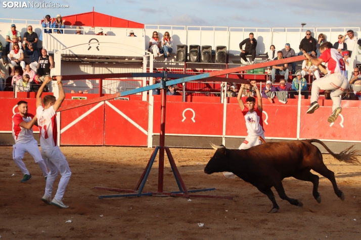 Una imagen de la tarde en la plaza de toros olvegueña. /Santos Gómez