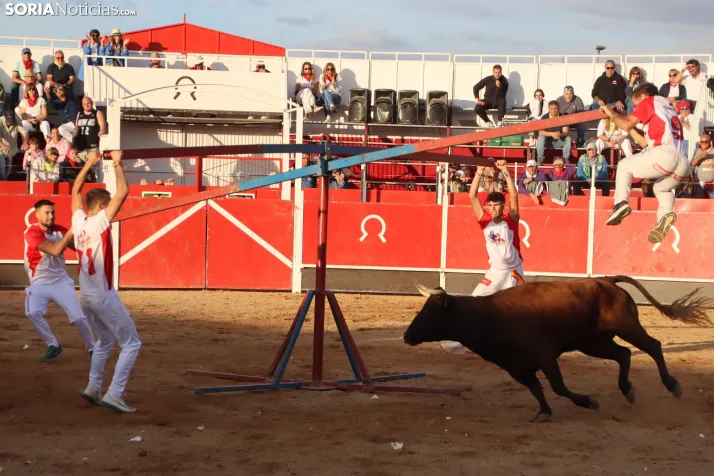 Una imagen de la tarde en la plaza de toros olvegueña. /Santos Gómez