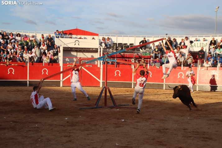Una imagen de la tarde en la plaza de toros olvegueña. /Santos Gómez