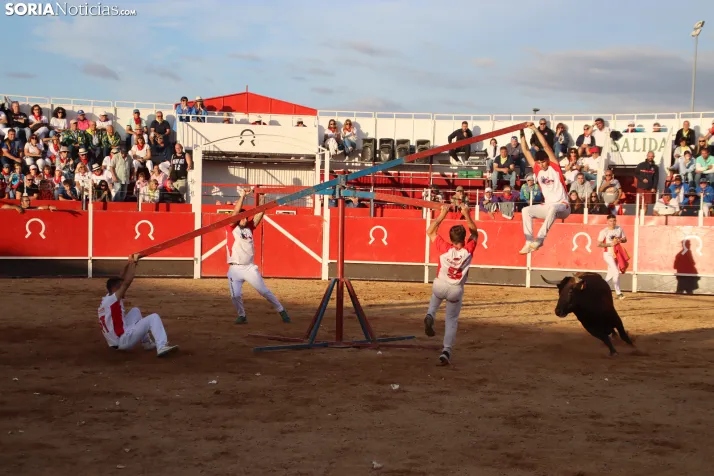 Una imagen de la tarde en la plaza de toros olvegueña. /Santos Gómez