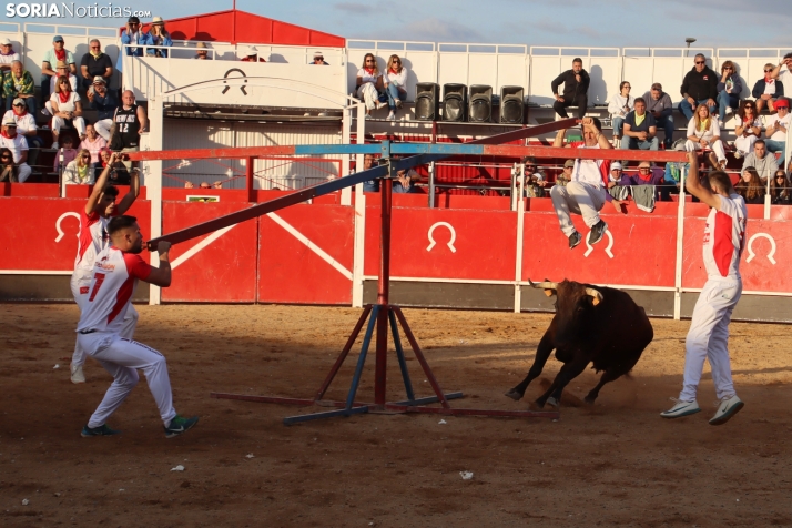 Una imagen de la tarde en la plaza de toros olvegueña. /Santos Gómez