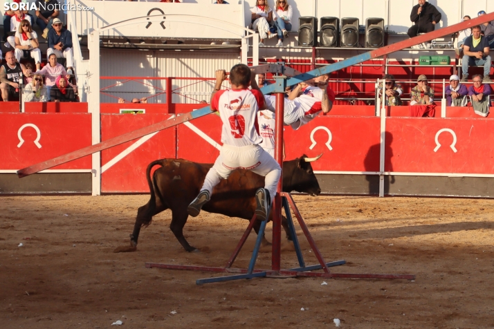 Una imagen de la tarde en la plaza de toros olvegueña. /Santos Gómez