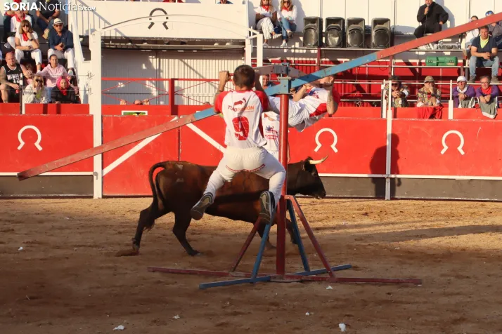 Una imagen de la tarde en la plaza de toros olvegueña. /Santos Gómez