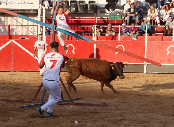 Una imagen de la tarde en la plaza de toros olvegueña. /Santos Gómez