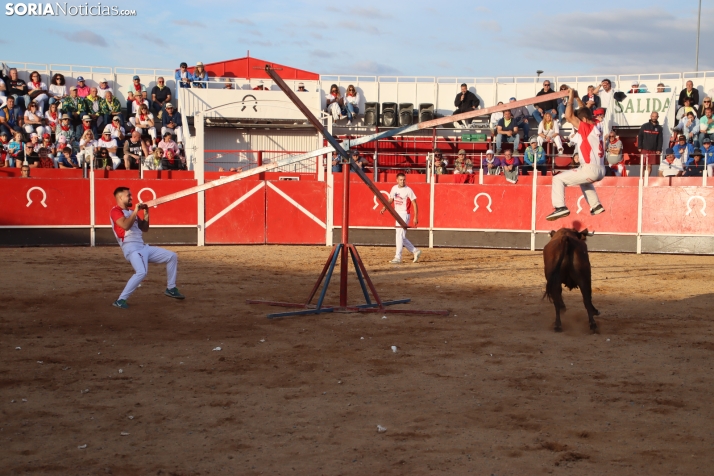 Una imagen de la tarde en la plaza de toros olvegueña. /Santos Gómez