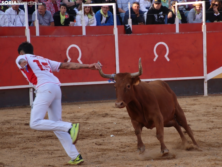 Una imagen de la tarde en la plaza de toros olvegueña. /Santos Gómez
