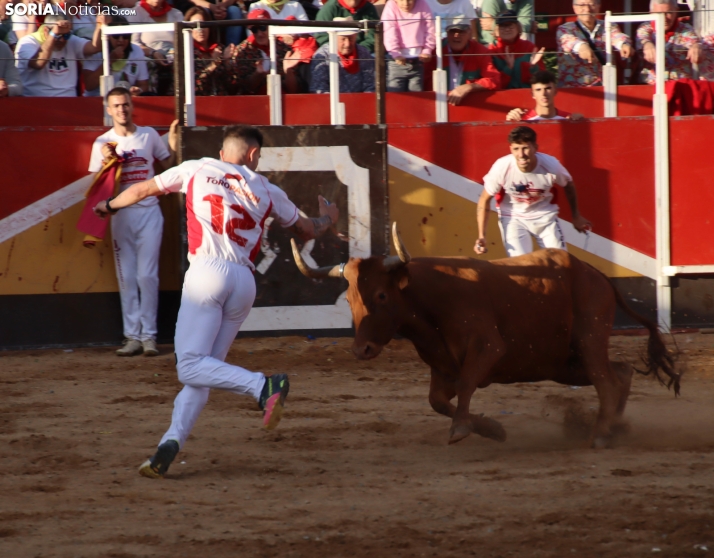 Una imagen de la tarde en la plaza de toros olvegueña. /Santos Gómez