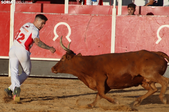 Una imagen de la tarde en la plaza de toros olvegueña. /Santos Gómez
