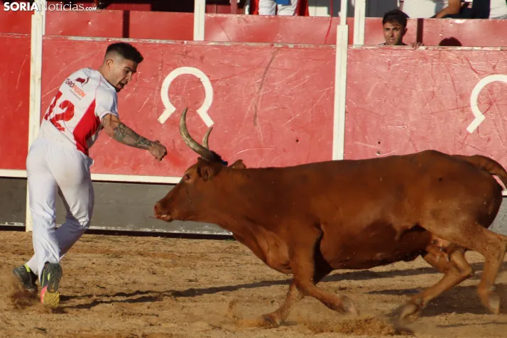 Una imagen de la tarde en la plaza de toros olvegueña. /Santos Gómez