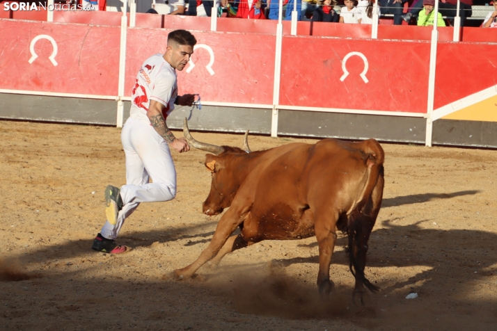 Una imagen de la tarde en la plaza de toros olvegueña. /Santos Gómez