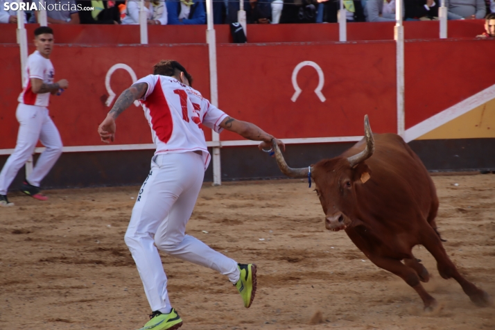 Una imagen de la tarde en la plaza de toros olvegueña. /Santos Gómez