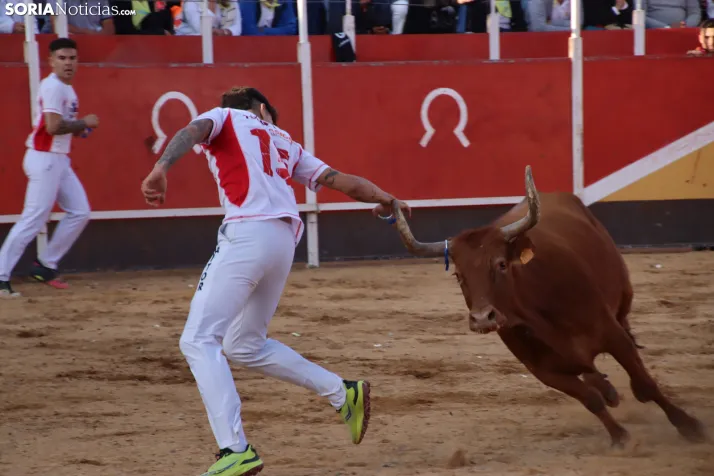 Una imagen de la tarde en la plaza de toros olvegueña. /Santos Gómez