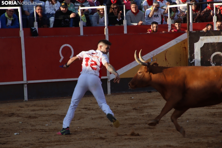 Una imagen de la tarde en la plaza de toros olvegueña. /Santos Gómez