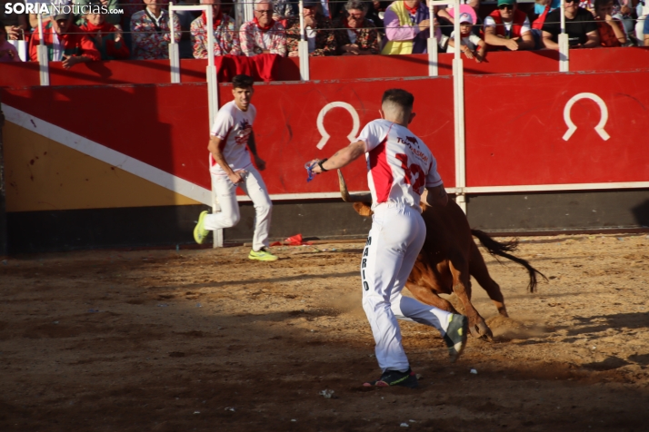 Una imagen de la tarde en la plaza de toros olvegueña. /Santos Gómez