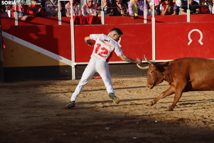 Una imagen de la tarde en la plaza de toros olvegueña. /Santos Gómez