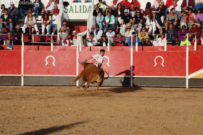 Una imagen de la tarde en la plaza de toros olvegueña. /Santos Gómez