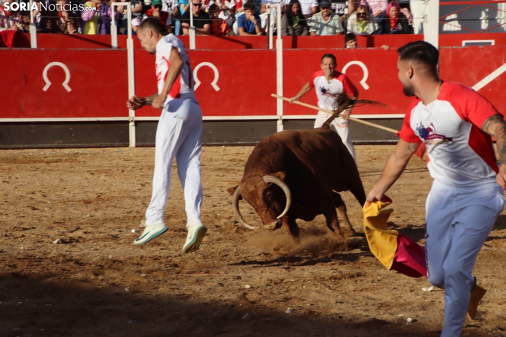 Una imagen de la tarde en la plaza de toros olvegueña. /Santos Gómez