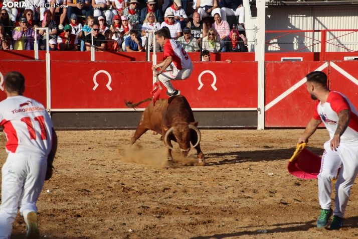 Una imagen de la tarde en la plaza de toros olvegueña. /Santos Gómez