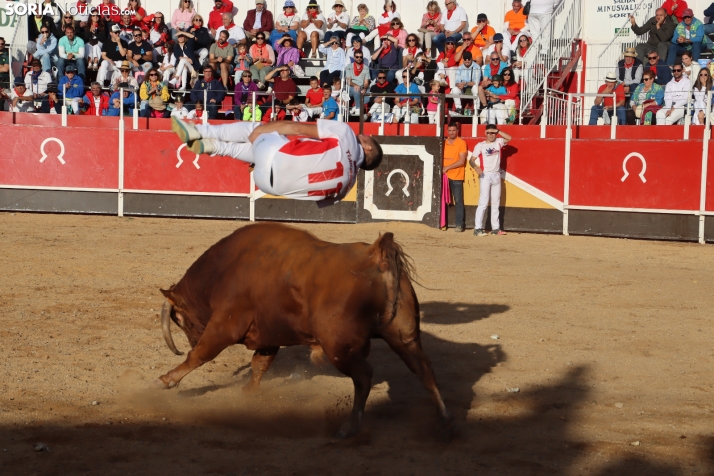 Una imagen de la tarde en la plaza de toros olvegueña. /Santos Gómez