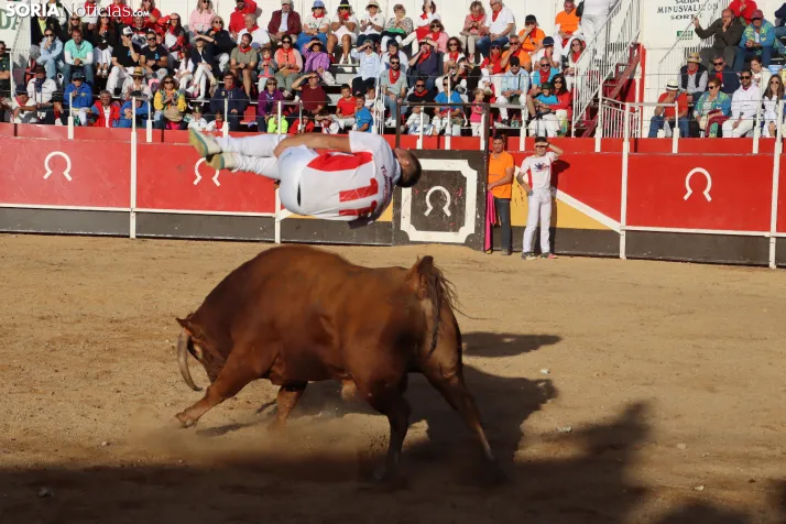 Una imagen de la tarde en la plaza de toros olvegueña. /Santos Gómez