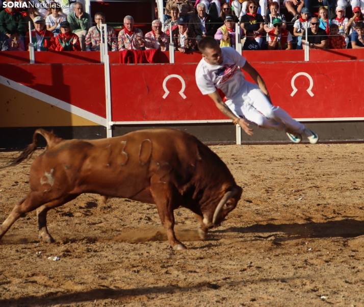 Una imagen de la tarde en la plaza de toros olvegueña. /Santos Gómez